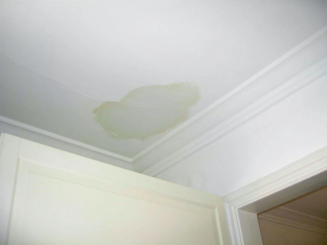 Ceiling Troubles? Here Are the Most Common Problems and How to Solve Them
