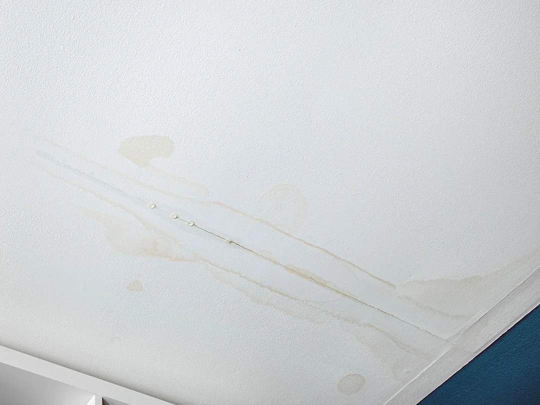 The Complete Guide to Drywall Repair for Water Damage